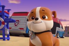 Paw Patrol, la Pat'Patrouille
