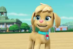 Paw Patrol, la Pat'Patrouille