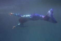 Cachez cette barbe !