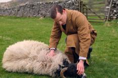 All Creatures Great and Small