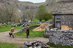 All Creatures Great and Small