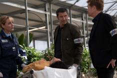 Section de recherches