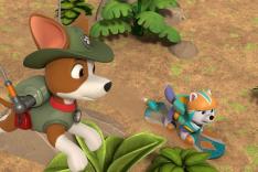 Paw Patrol, la Pat'Patrouille