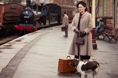 All Creatures Great and Small