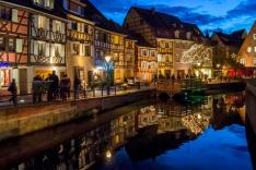 Des racines et des ailes