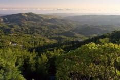 Les sanctuaires d'épices