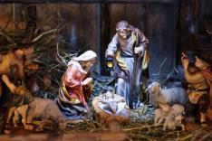 De kerststal van Nederland