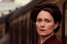 All Creatures Great and Small