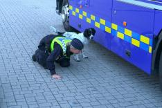 Au cœur des douanes : Suède