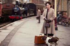 All Creatures Great and Small