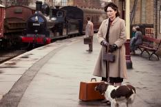 All Creatures Great and Small