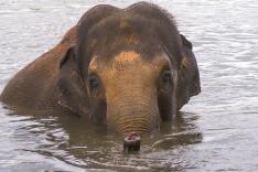 Expédition Pairi Daiza