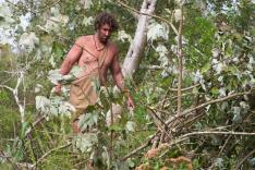 Retour à l'instinct primaire : Restons groupés