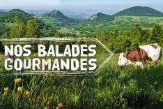 Nos balades gourmandes