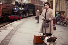 All Creatures Great and Small