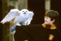Harry Potter à l'école des sorciers