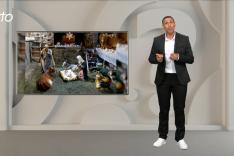 Le pourquoi du comment