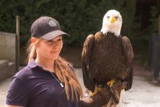 Expédition Pairi Daiza