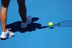 ATP Season Review