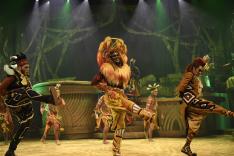 Disneyland Paris : dans les coulisses des plus grands shows !