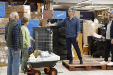 Les rois des colis perdus