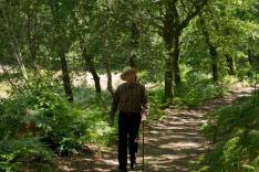 Mitterrand confidentiel