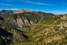 L'Anneau - Qui en sortira vainqueur ?