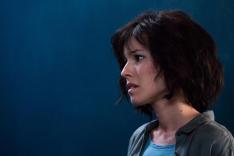 Meurtres en pays Cathare