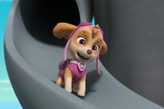 Paw Patrol, la Pat'Patrouille