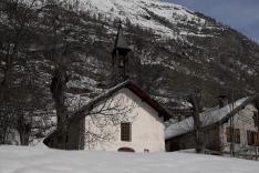 Des racines et des ailes