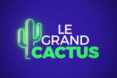 Le Grand Cactus