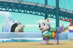 Paw Patrol, la Pat'Patrouille