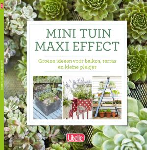Mini tuin, maxi effect
