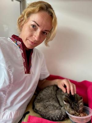 Dierenarts Ellie De Grauwe is al 25 jaar actief en heeft nog nooit zo'n enorme toevloed aan zwerfkatten meegemaakt.