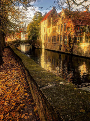 De Groenerei in Brugge.