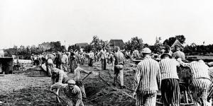 Zwart-wit beeld uitgemergelde gevangenen aan het werk in concentratiekamp Mauthausen