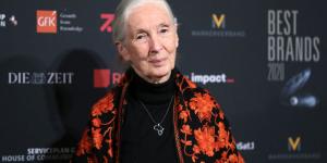 Jane Goodall