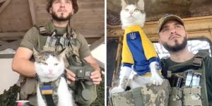 Puck, le chat-soldat qui réconforte les troupes ukrainiennes.