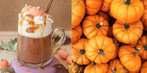 Chocolat chaud citrouille - Getty