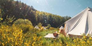 concours glamping