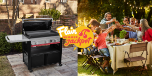 FLAIR SMMER WEBER