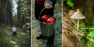 activités automne belgique