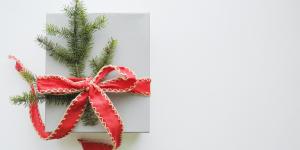 vegan kerstcadeautjes