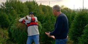 de verhulstjes kerstspecial