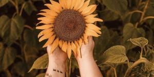 tattoos-goede-voornemens