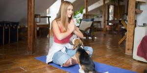 puppy yoga antwerpen