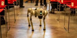 chien robot IA