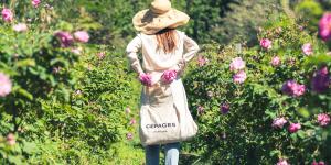 Cépages parfums