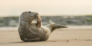 Noordzee