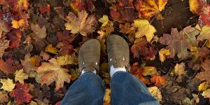 herfst sterrenbeeld